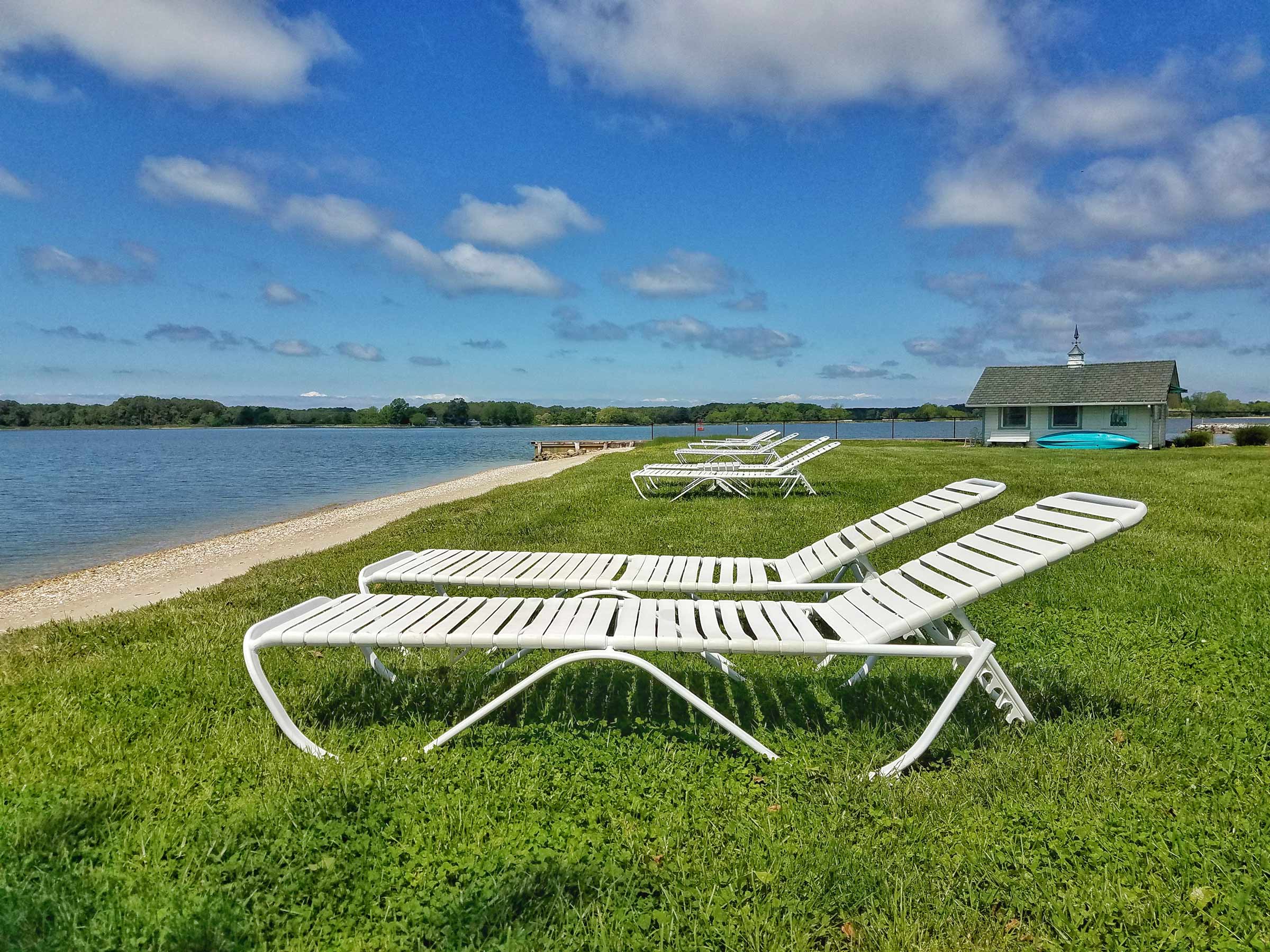 Lounge chairs by the beach