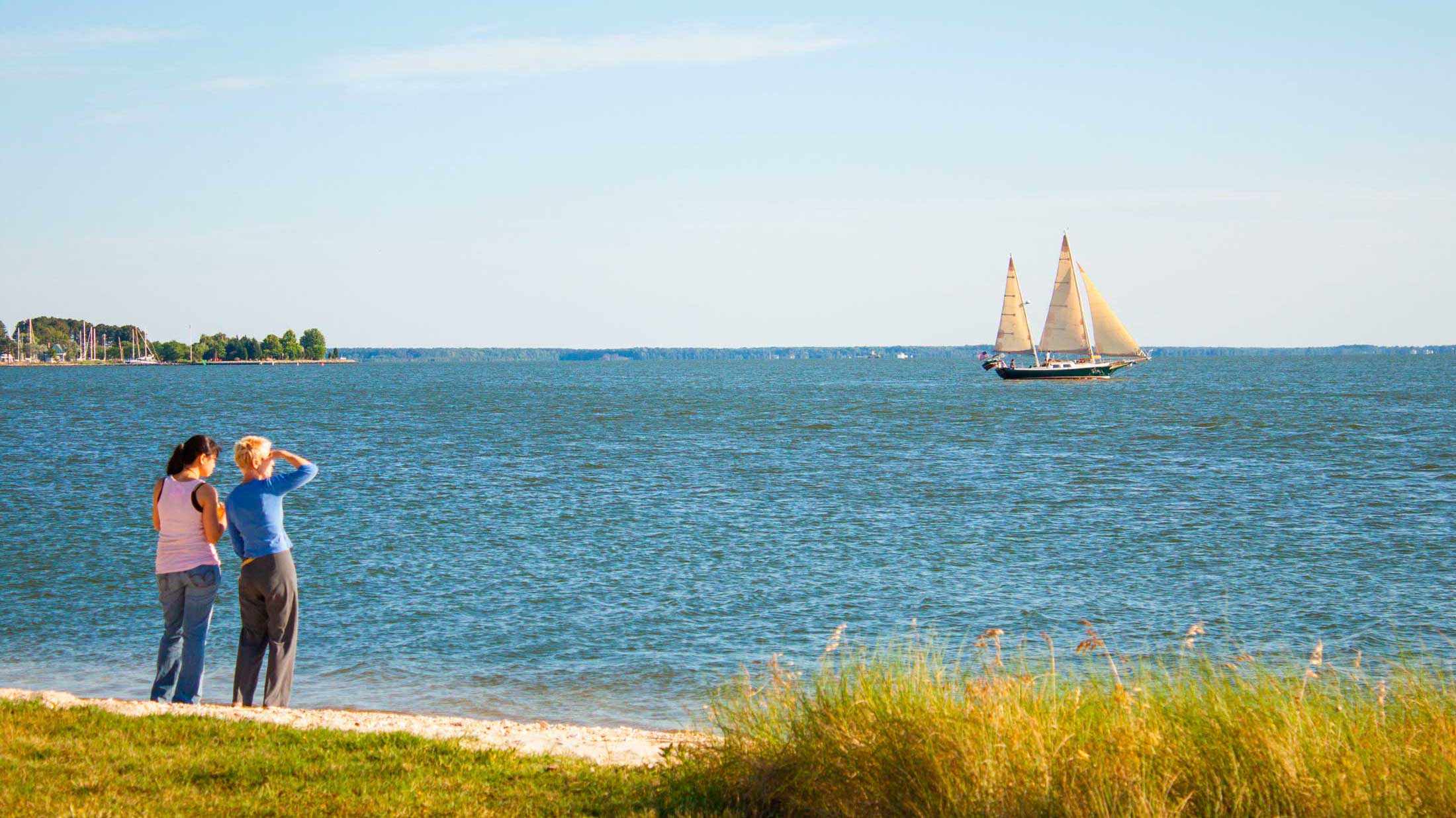View of bay looking from sandy beach with green sea grass