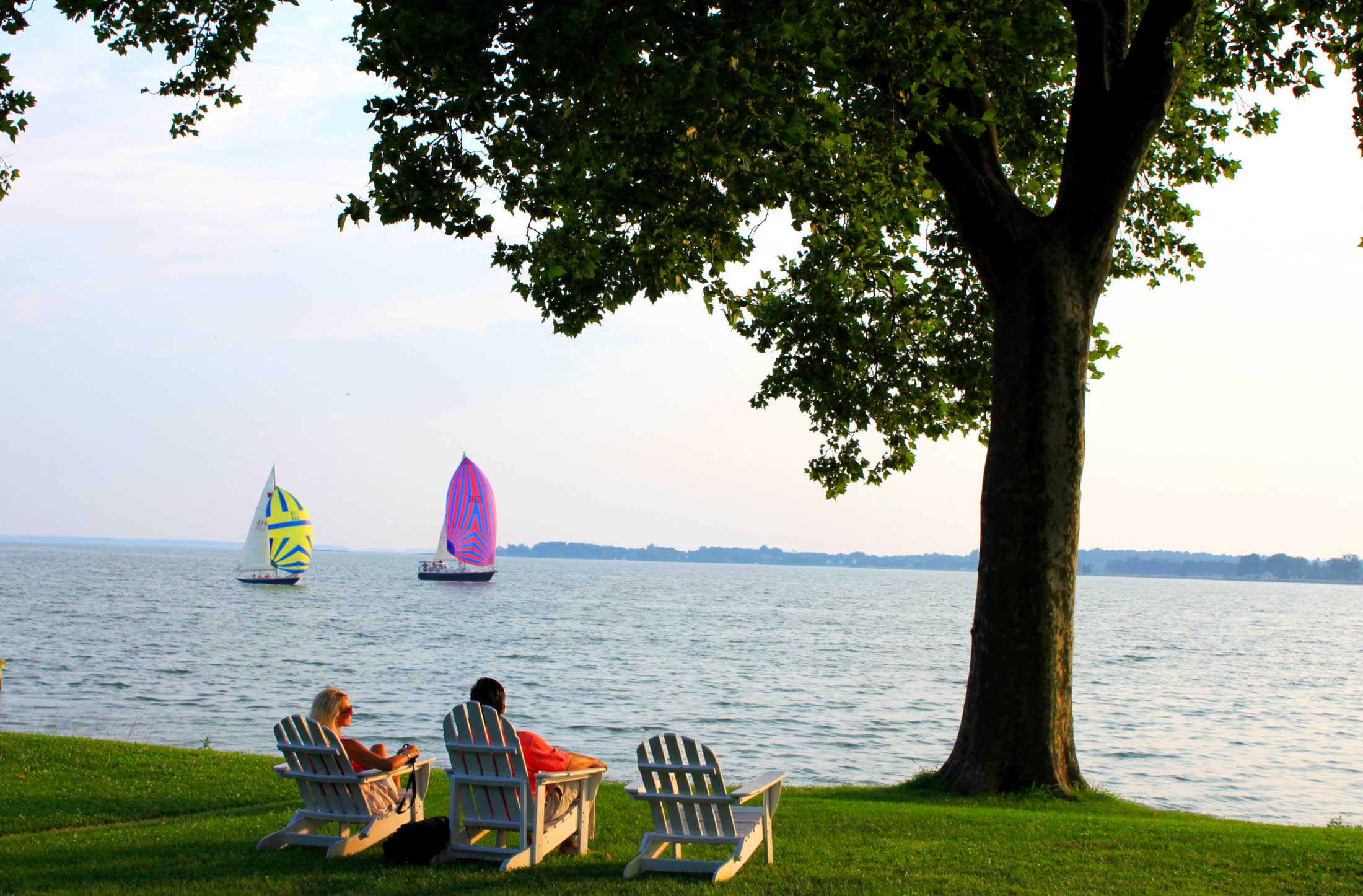 Couple watching colorful sailboats on a waterfront lawn