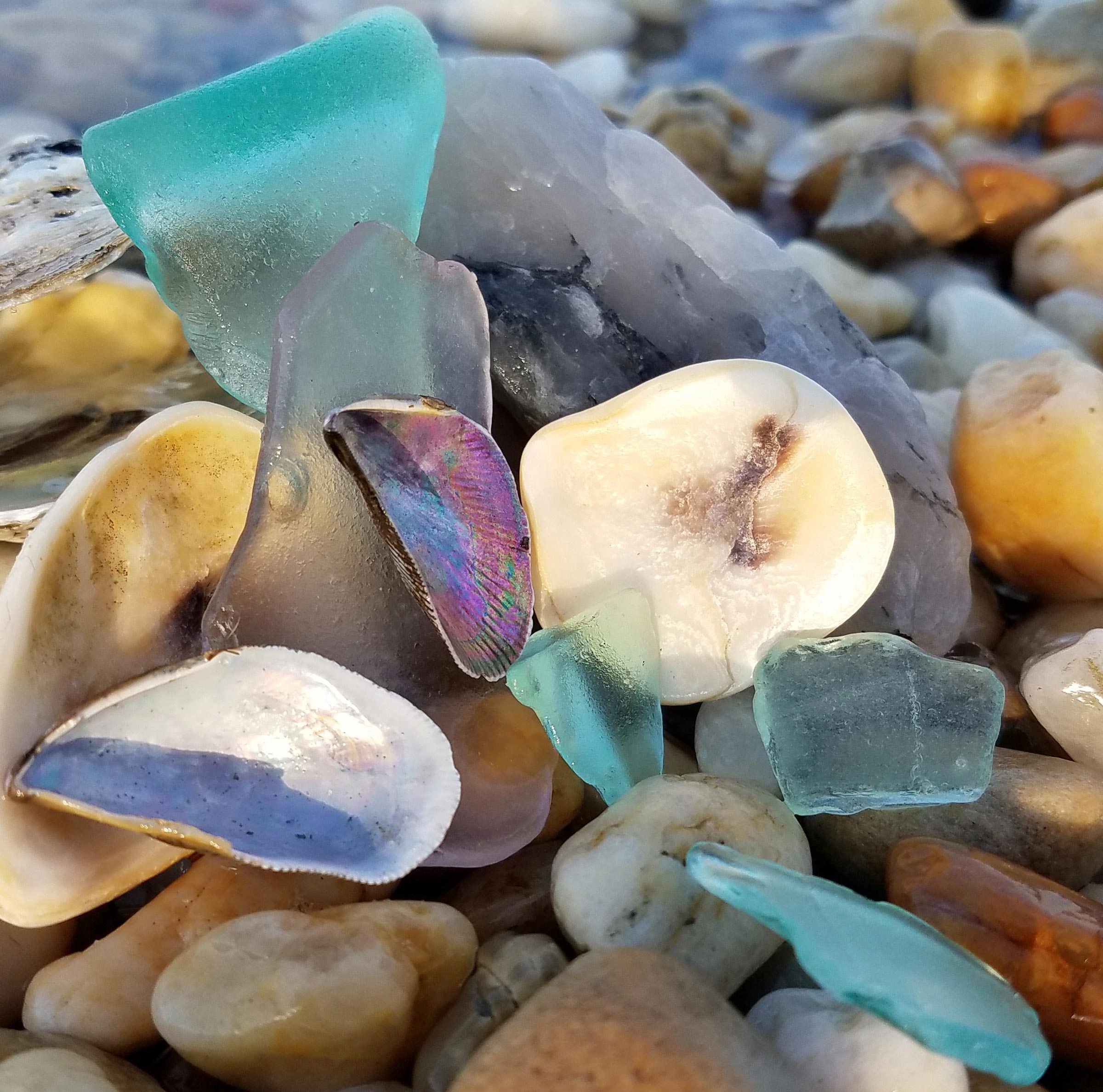 Sea glass with shells on a Maryland beach