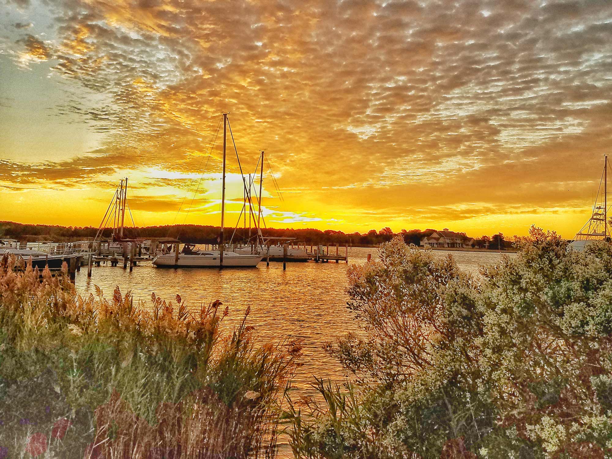 A stunning orange and gold sunrise over the harbor