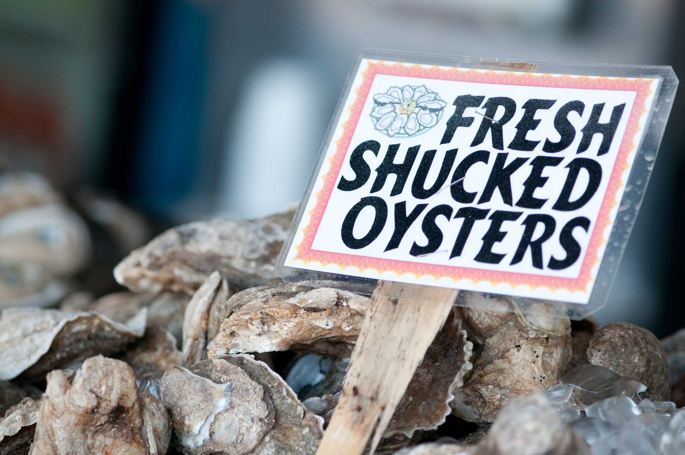 Picture of live oysters in a seafood market